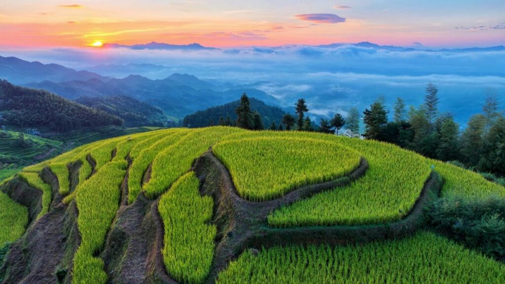 MAY PR 2025 09 16 154818 การประชุมว่าด้วยการเรียนรู้ร่วมกันและการแลกเปลี่ยนวัฒนธรรมการเกษตร "นาขั้นบันไดจื่อเชว่เจี๋ย เปิดเวทีเสวนาระดับโลก" ประจำปี 2568 จัดขึ้นที่เมืองโหลวตี้ ประเทศจีน