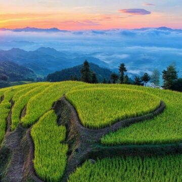 MAY PR 2025 09 16 154818 การประชุมว่าด้วยการเรียนรู้ร่วมกันและการแลกเปลี่ยนวัฒนธรรมการเกษตร "นาขั้นบันไดจื่อเชว่เจี๋ย เปิดเวทีเสวนาระดับโลก" ประจำปี 2568 จัดขึ้นที่เมืองโหลวตี้ ประเทศจีน