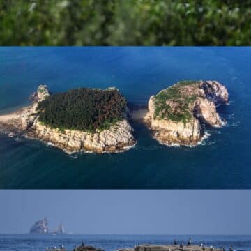 MAY PR 2026 07 30 151756 ถิ่นอาศัยของนกอพยพหมู่เกาะฉางซาน เมืองต้าเหลียน ขึ้นแท่นแหล่งมรดกโลกทางธรรมชาติ